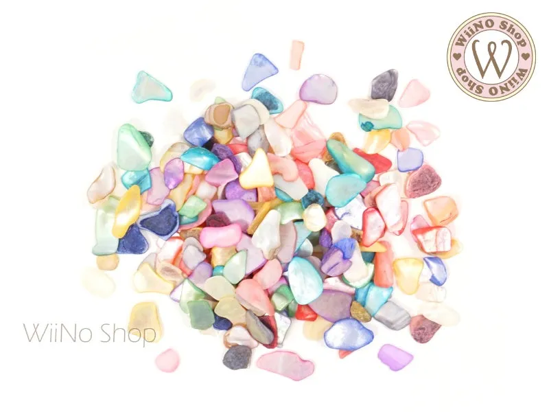 Colorful Shell Natural Gemstones