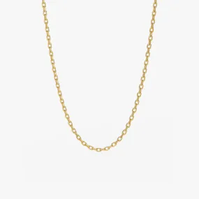 Gold Knife Edge Chain