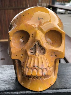 Ocean Jasper Skull [25V74]