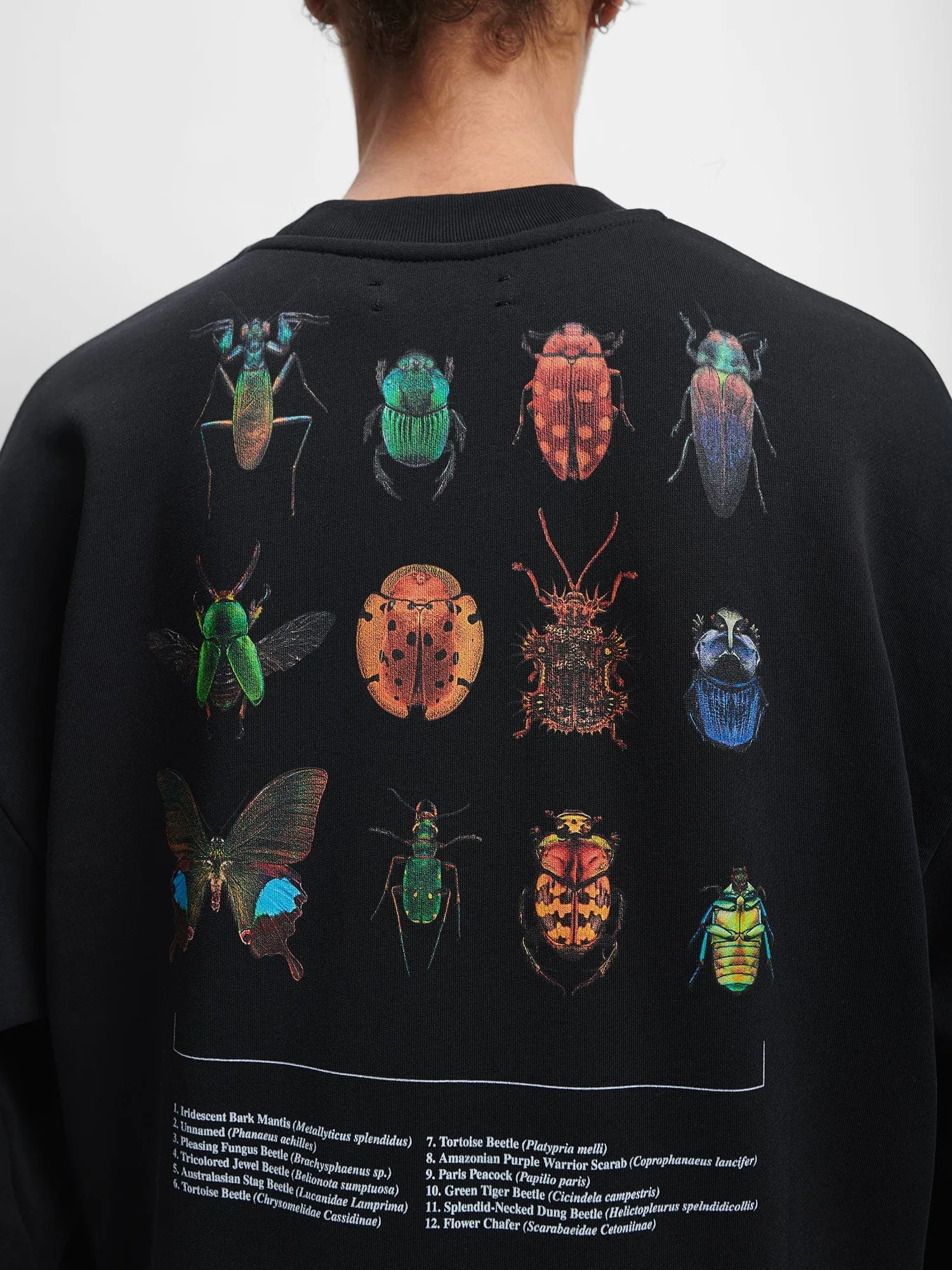 PANGAIA X Levon Biss Entomologist Sweatshirt—black