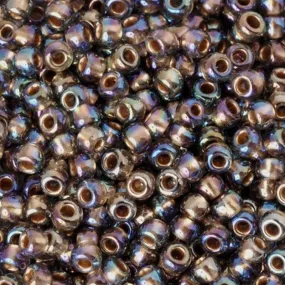 Seed Beads-6/0 Round-999 Gold-Lined Rainbow Black Diamond-Toho-16 Grams